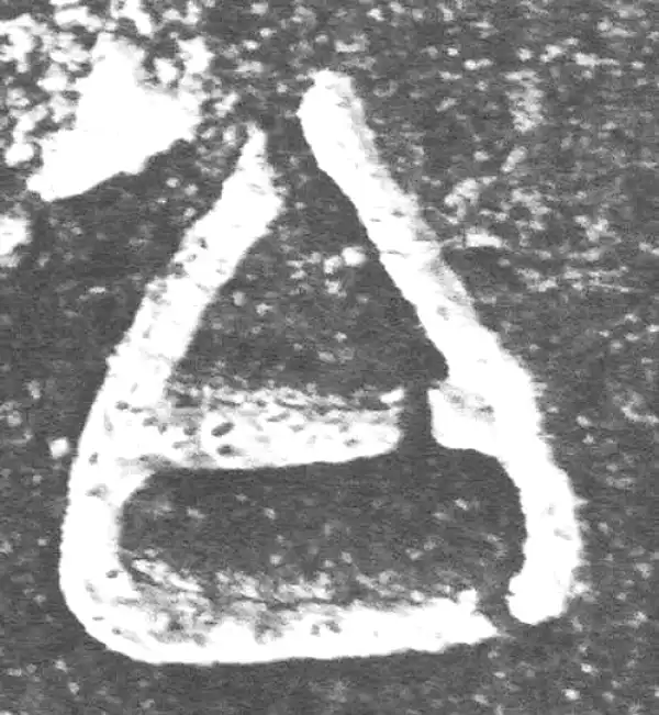 金文·裘卫盉·白