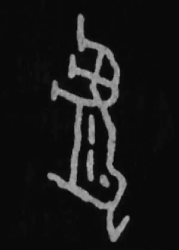 殷墟甲骨文·虎