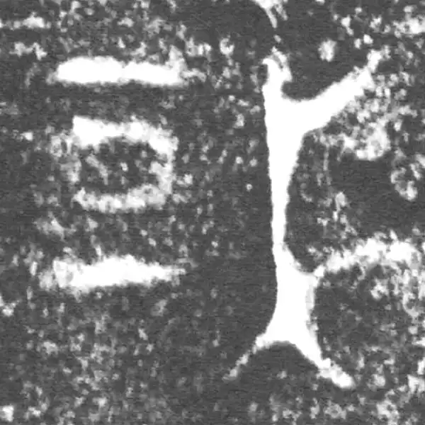 金文·朕匜盖·或