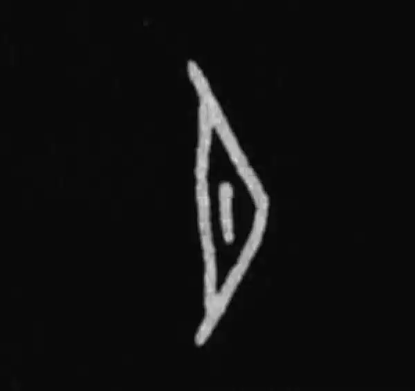 殷墟甲骨文·月