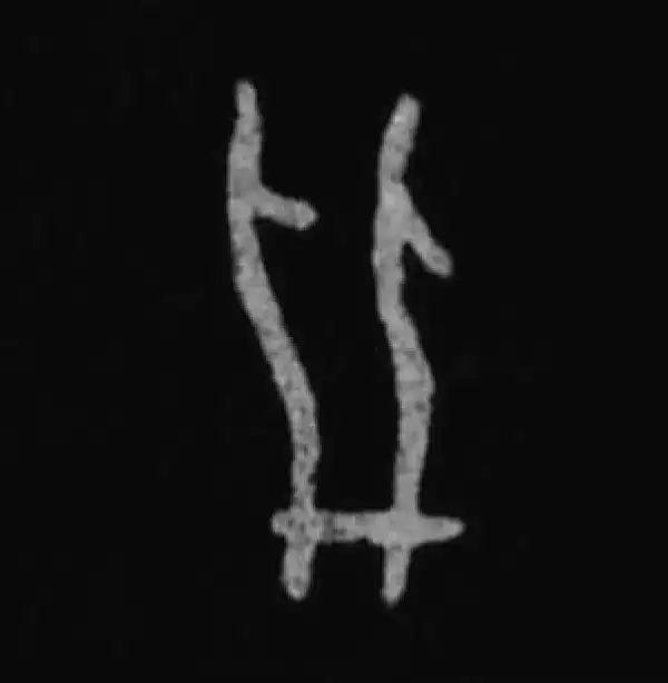 殷墟甲骨文·並