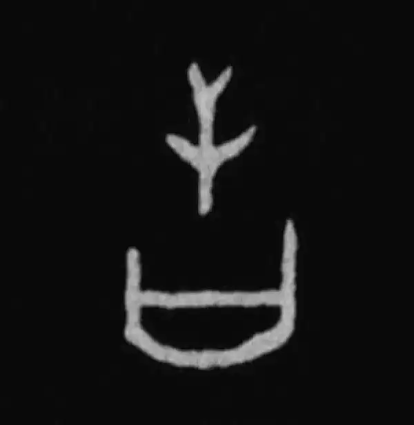 殷墟甲骨文·告