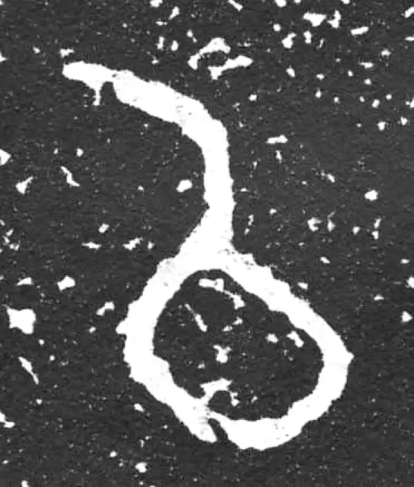 金文·散氏盘铭文·以