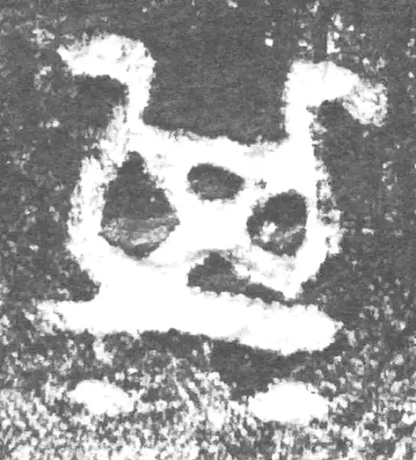 金文·九年卫鼎·其