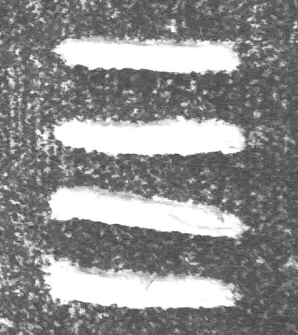 金文·(冬戈)簋·四