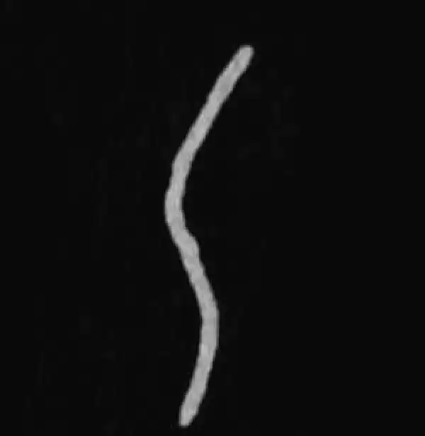 殷墟甲骨文·乙