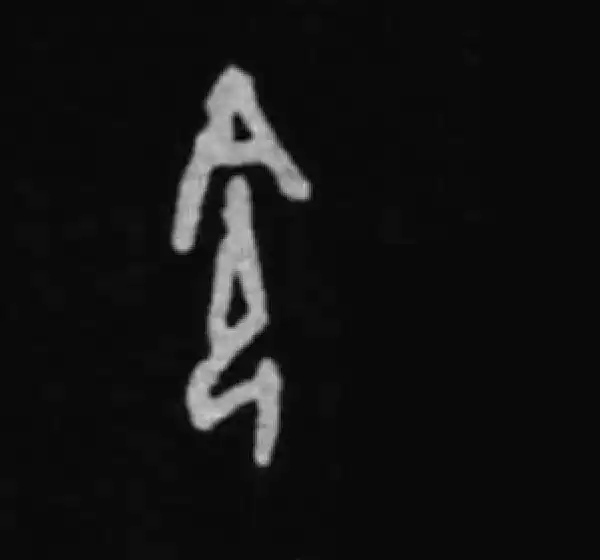 殷墟甲骨文·命