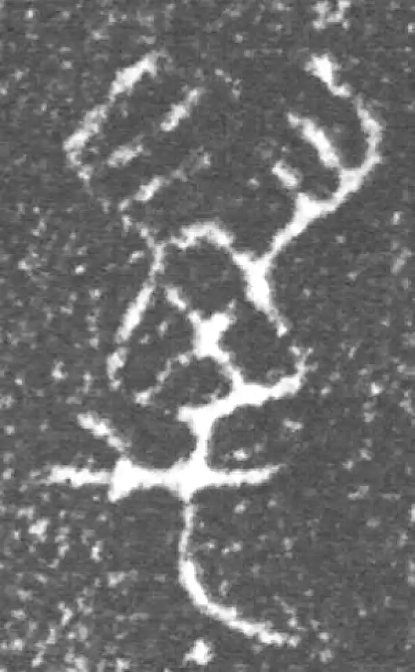 金文·泰公镈甲·万