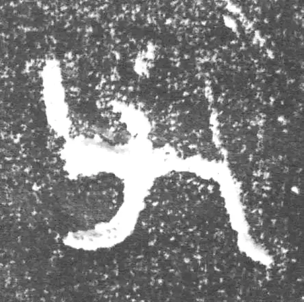 金文·伯好父簋盖·父