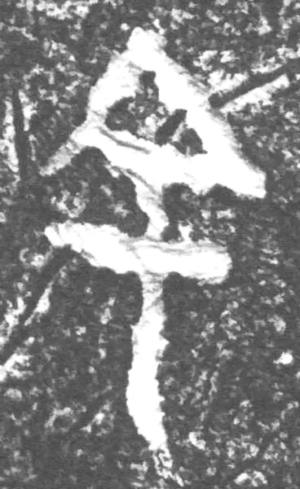 金文·四十二年逑鼎乙·余