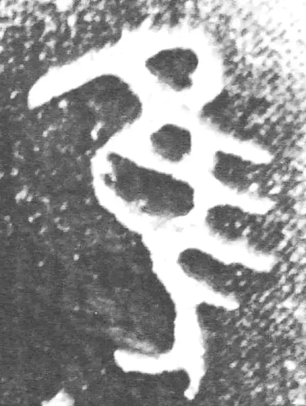 金文·裘卫簋·隹