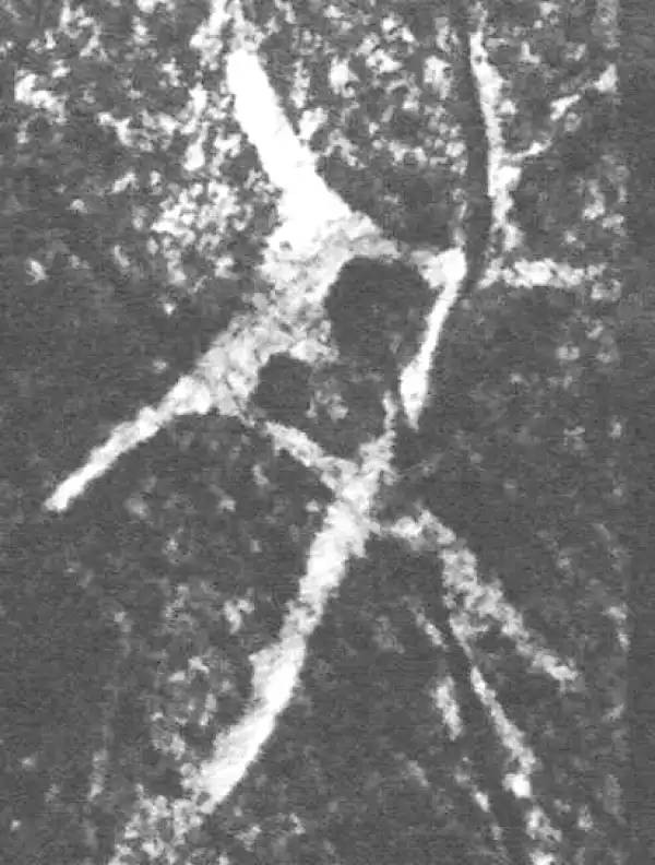 金文·四十二年逑鼎乙·文