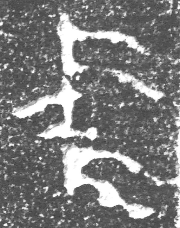 金文·四十三年逨鼎·中
