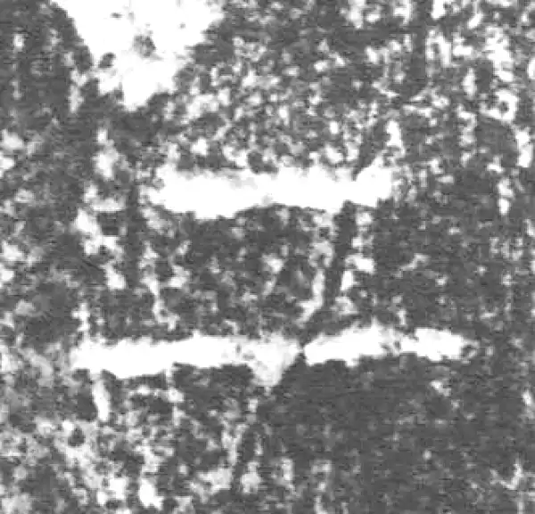 金文·朕匜器·上