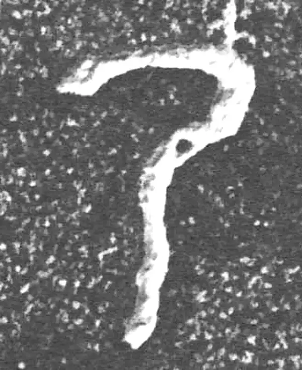 金文·四十三年逨鼎·乃