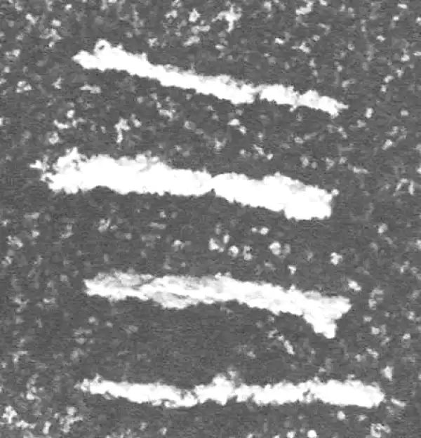 金文·四十二年逑鼎乙·四