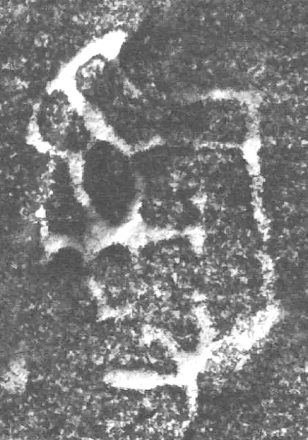 金文·四十三年逨鼎·司