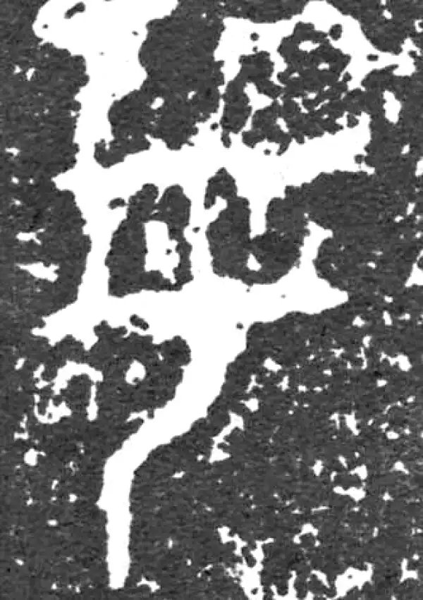 金文·大盂鼎铭文·女