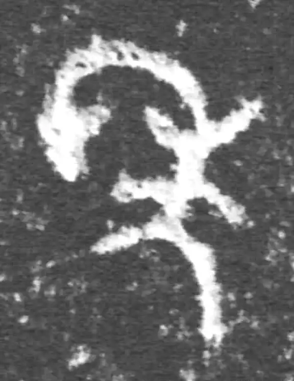 金文·公臣簋·年