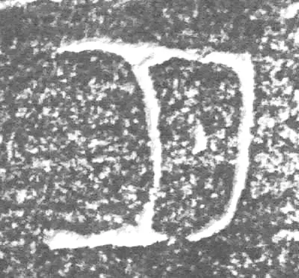 金文·四十三年逨鼎·月