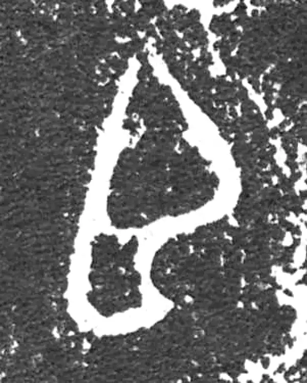 金文·大盂鼎铭文·臣