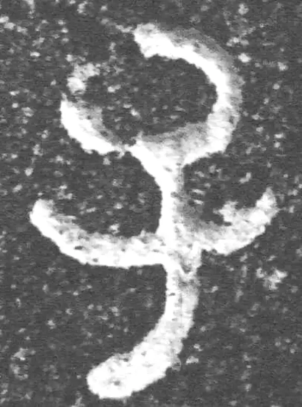 金文·裘卫盉·子