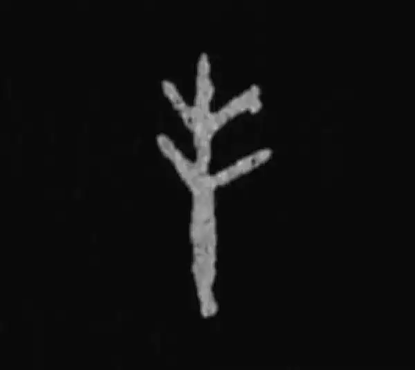 殷墟甲骨文·丰