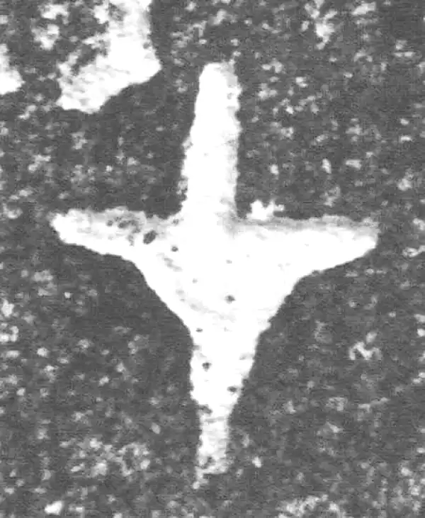 金文·裘卫盉·才