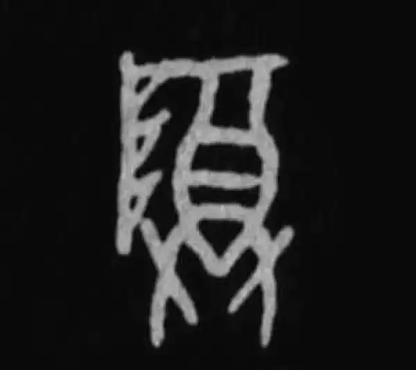 殷墟甲骨文·尊