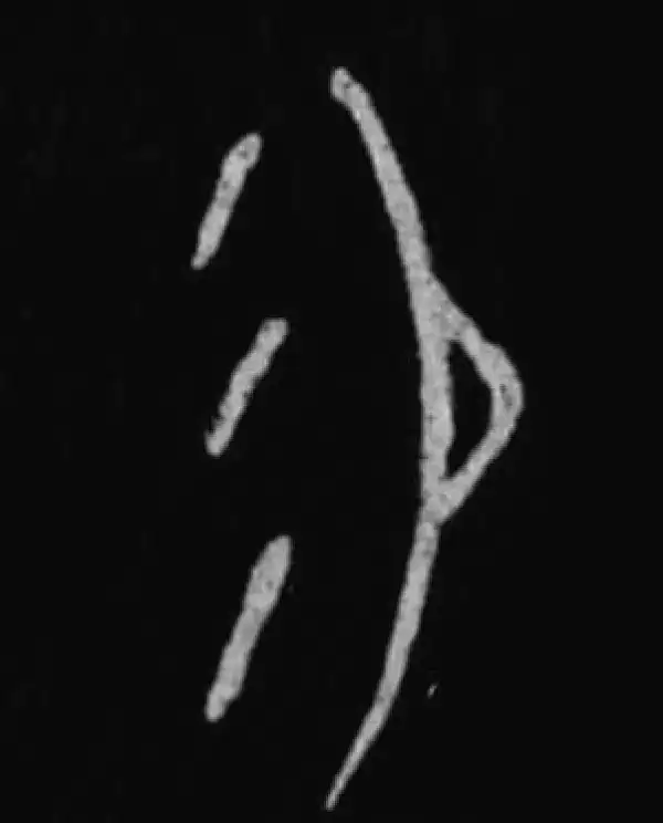 殷墟甲骨文·易