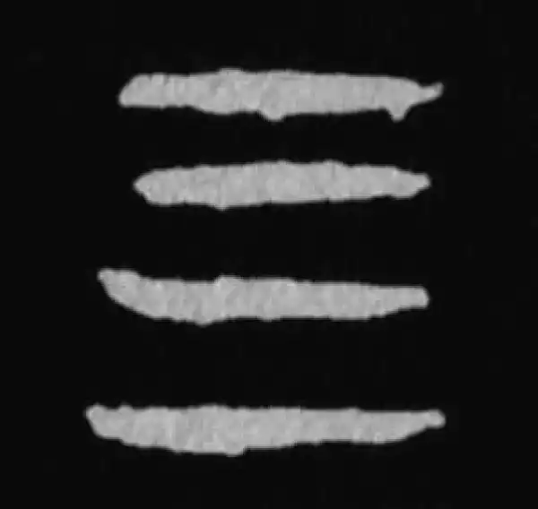 殷墟甲骨文·四