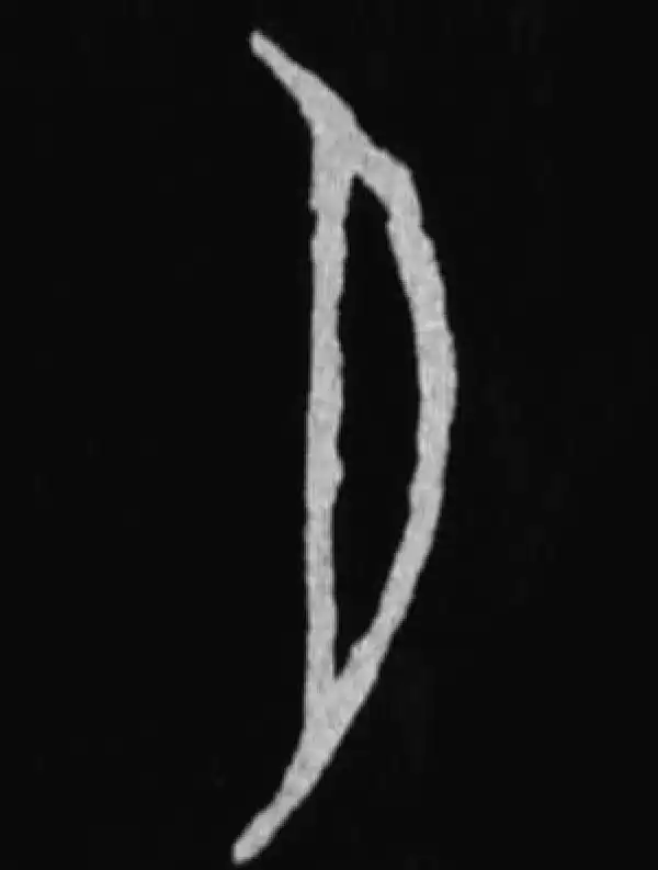 殷墟甲骨文·月