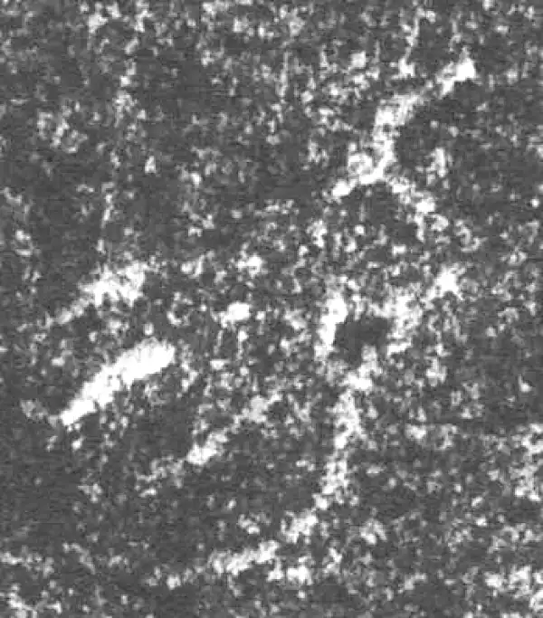 金文·四十三年逨鼎·易