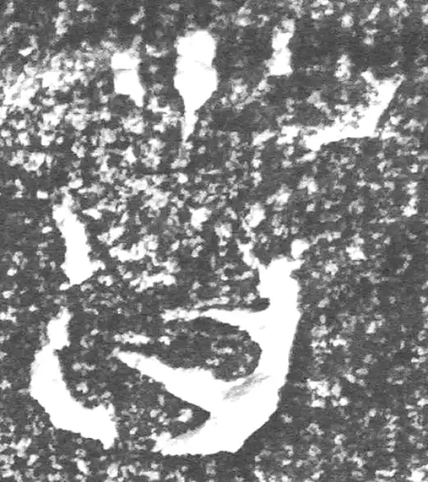 金文·四十二年逑鼎乙·首