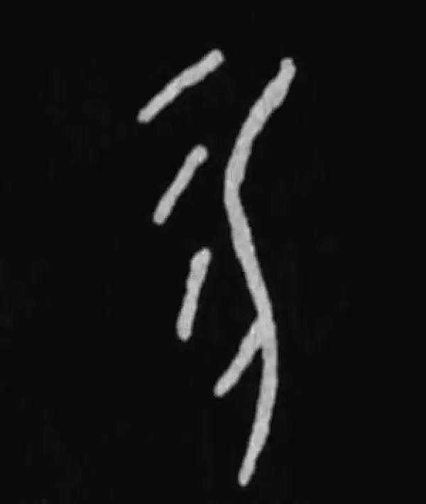 殷墟甲骨文·勿