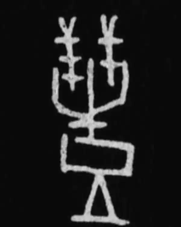 殷墟甲骨文·豐