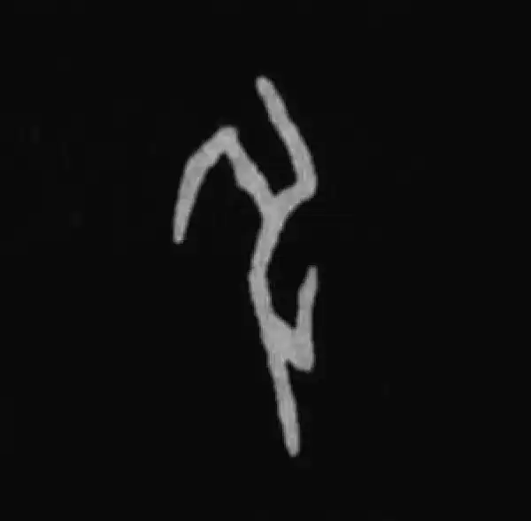 殷墟甲骨文·申