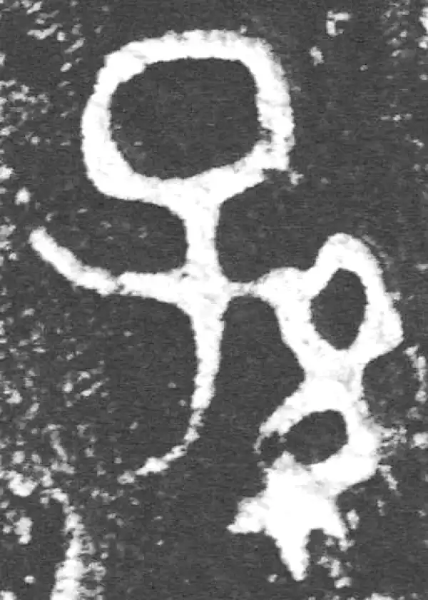 金文·裘卫簋·孙