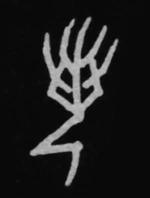 殷墟甲骨文·若