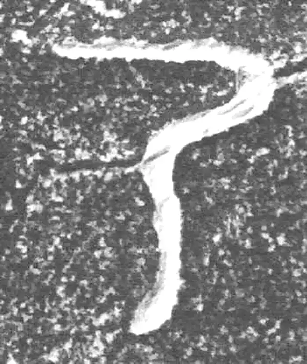 金文·四十三年逨鼎·乃