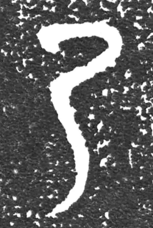 金文·大盂鼎铭文·乃