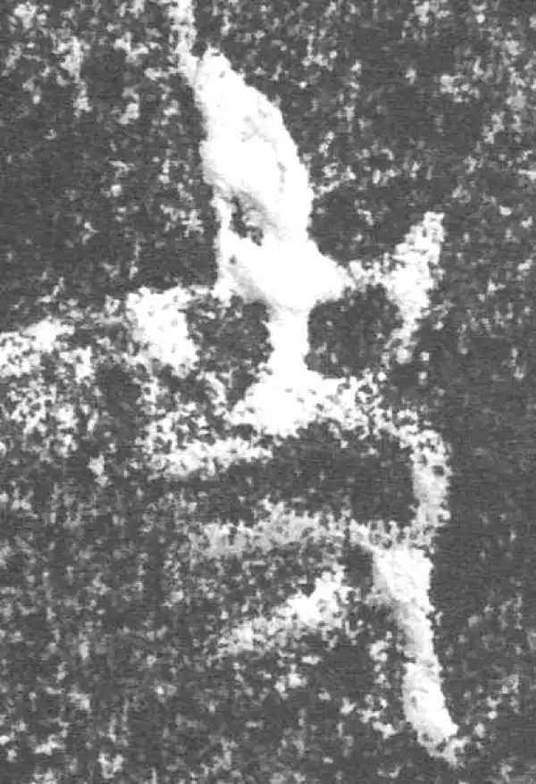 金文·公臣簋·事