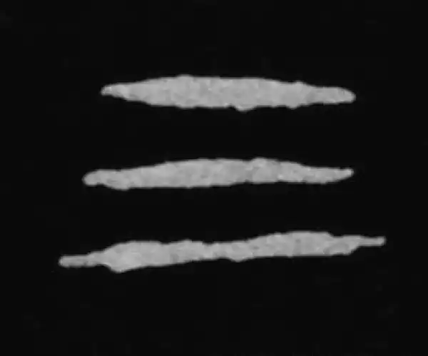 殷墟甲骨文·三