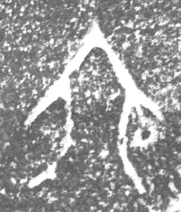 金文·四十三年逨鼎·六