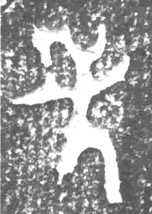 金文·四十二年逑鼎乙·先