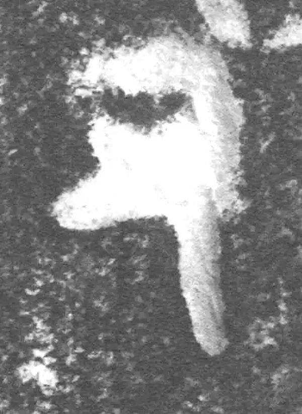 金文·(冬戈)簋·又