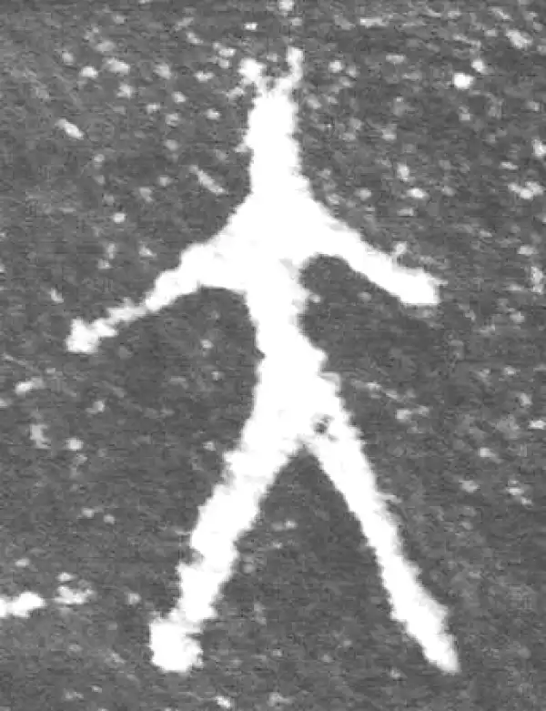 金文·裘卫簋·大