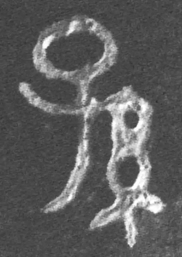 金文·成伯孙父鬲·孫