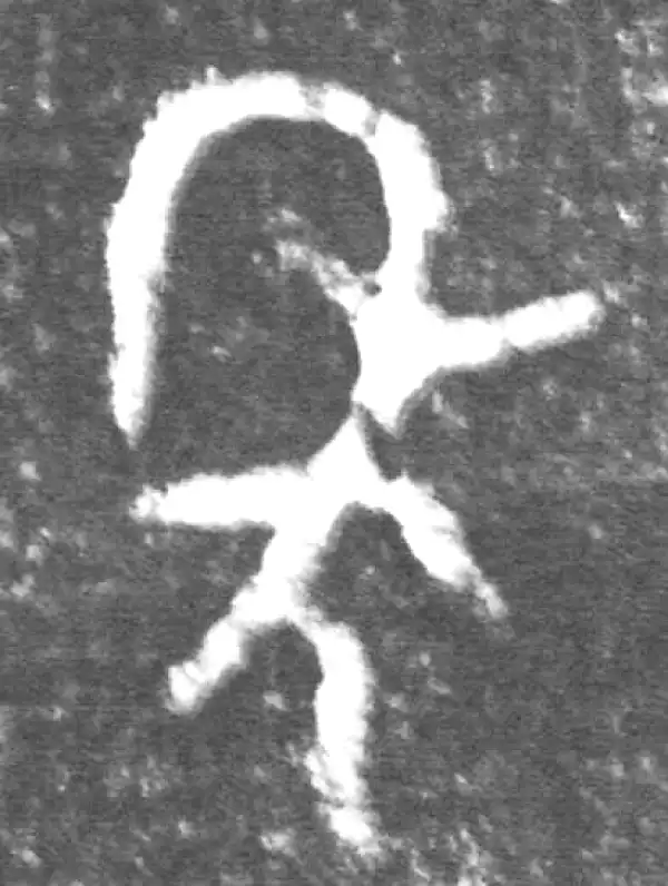 金文·伯宽父盨乙·年