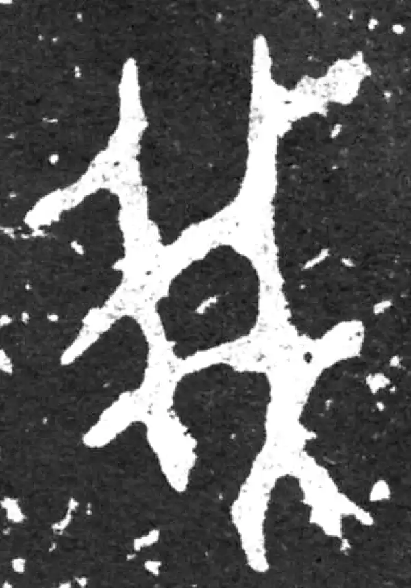 金文·毛公鼎铭文·我